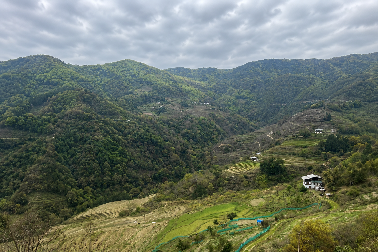 Village Tours